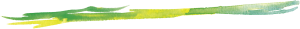 030_02