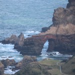 img_0974